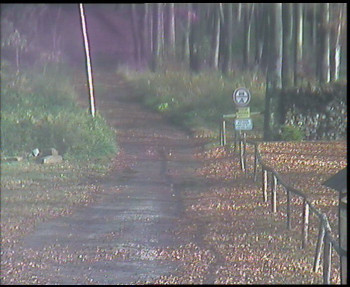 Snímek    4.11.2025 v 10:30