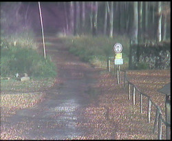 Nástup na běžecké tratě