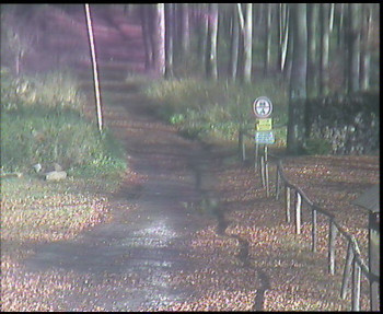 Snímek    4.11.2025 v 11:30