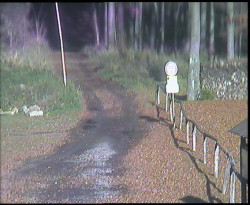 Nástup na běžecké tratě