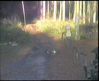 Snímek    4.11.2025 v 14:45