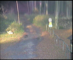 Nástup na běžecké tratě