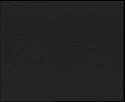 Nástup na běžecké tratě