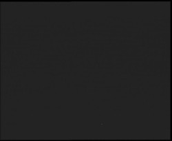 Nástup na běžecké tratě