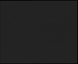 Nástup na běžecké tratě