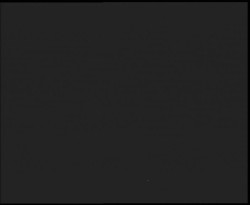 Nástup na běžecké tratě