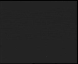 Nástup na běžecké tratě