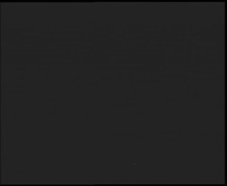 Nástup na běžecké tratě