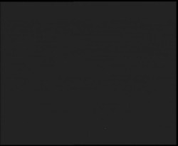 Nástup na běžecké tratě