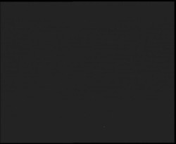 Nástup na běžecké tratě