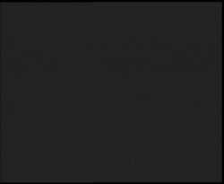 Nástup na běžecké tratě