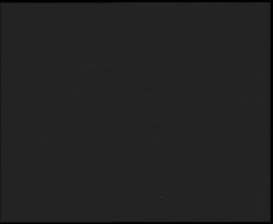 Nástup na běžecké tratě