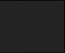 Nástup na běžecké tratě