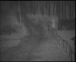 Nástup na běžecké tratě