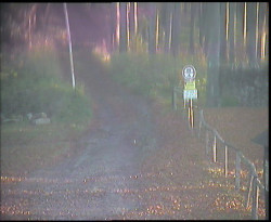 Nástup na běžecké tratě