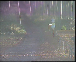 Nástup na běžecké tratě