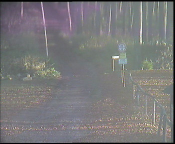 Snímek 5.11.2025 v 07:45