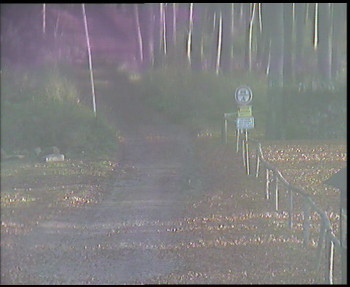 Snímek 5.11.2025 v 08:00