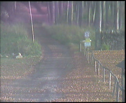 Nástup na běžecké tratě