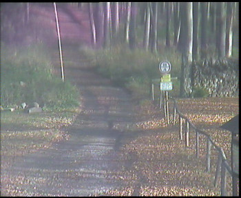 Snímek 5.11.2025 v 10:15