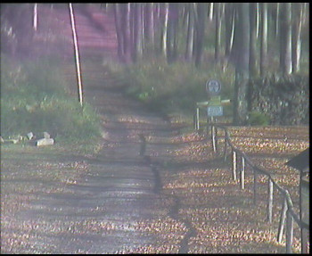 Snímek 5.11.2025 v 10:30