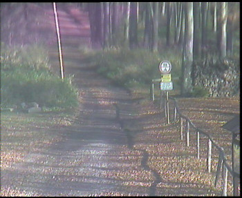 Snímek 5.11.2025 v 11:00