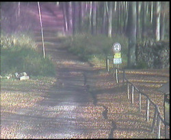 Nástup na běžecké tratě