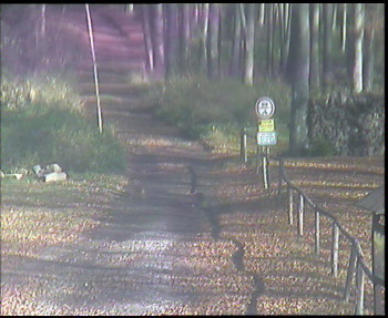 Snímek 5.11.2025 v 11:15