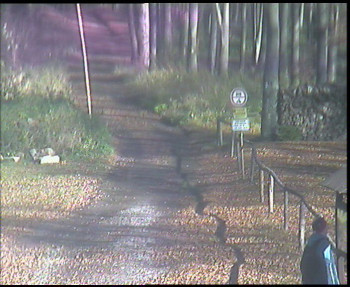 Snímek 5.11.2025 v 11:30