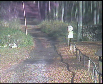 Snímek 5.11.2025 v 12:00