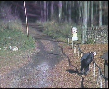 Snímek 5.11.2025 v 12:45