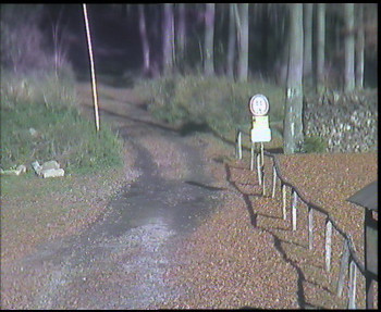 Snímek 5.11.2025 v 13:15