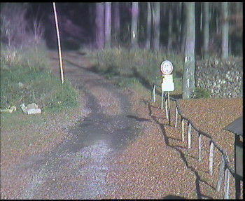 Snímek 5.11.2025 v 13:30