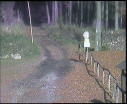 Nástup na běžecké tratě