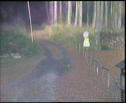 Nástup na běžecké tratě