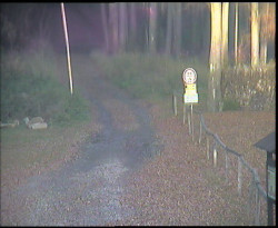 Nástup na běžecké tratě