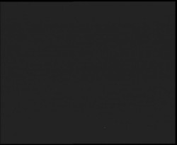 Nástup na běžecké tratě