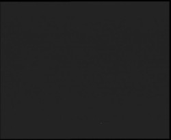 Nástup na běžecké tratě