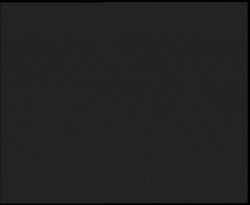 Nástup na běžecké tratě