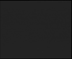 Nástup na běžecké tratě