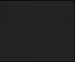 Nástup na běžecké tratě