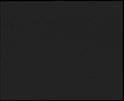 Nástup na běžecké tratě