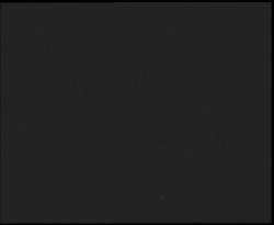 Nástup na běžecké tratě