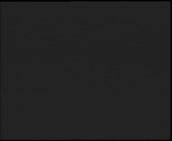 Nástup na běžecké tratě