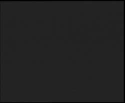 Nástup na běžecké tratě