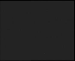 Nástup na běžecké tratě