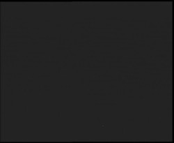 Nástup na běžecké tratě