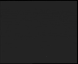 Nástup na běžecké tratě