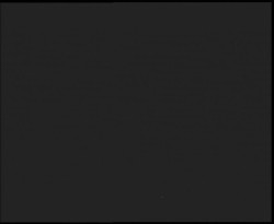 Nástup na běžecké tratě