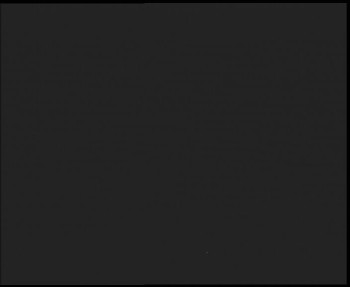 Snímek 6.11.2025 v 04:45